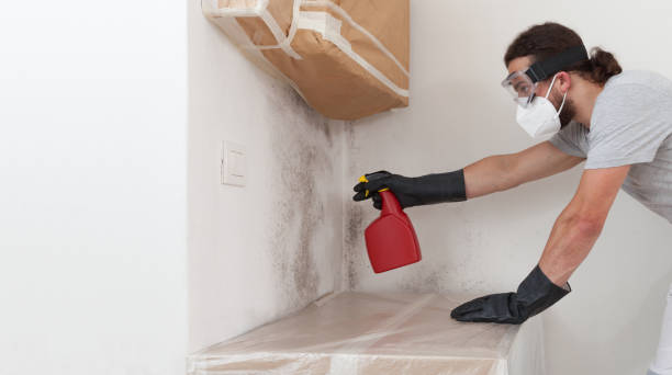 Professional Hvac And Air Duct Mold Remediation technician working in Belford, NJ